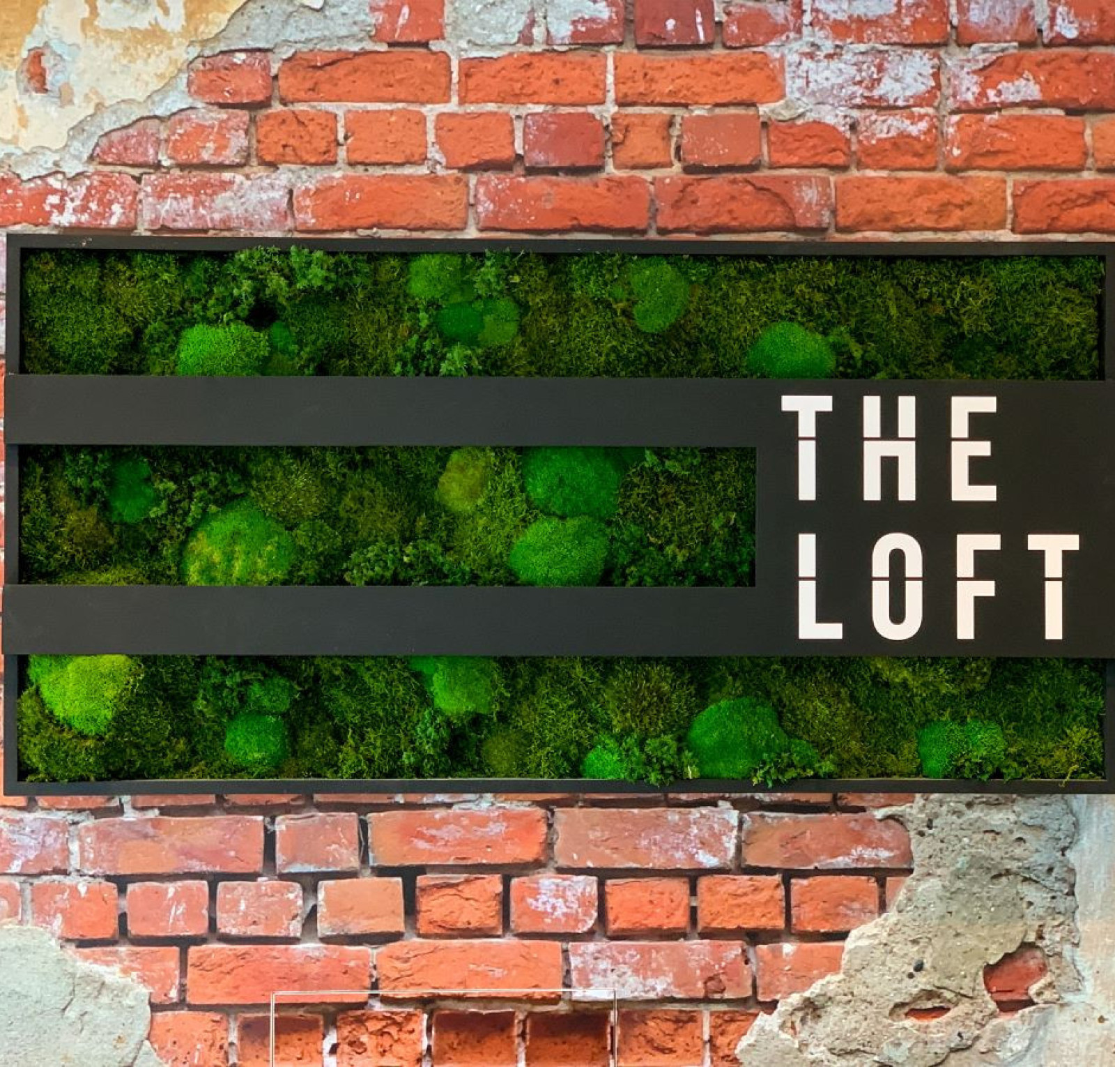 The Loft