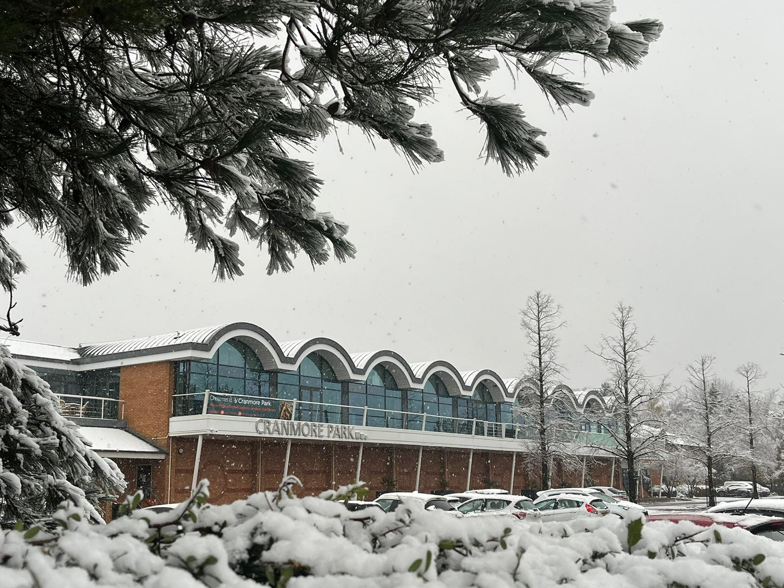 cranmore-park-in-the-snow